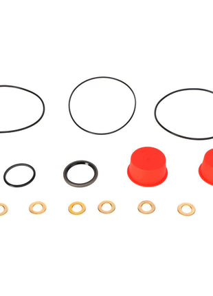 An assortment of small components from the AGCO | SEALS KIT - 0.003.5059.3, including black O-rings, red cap-like pieces, brass washers, and a black gasket, arranged in rows on a plain background. For any product questions or ordering inquiries, feel free to contact support.