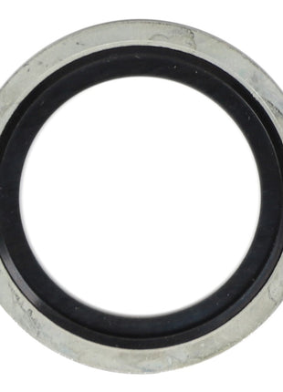 The AGCO SEALING RING - AG124041, from the renowned brand AGCO, is a black rubber washer featuring a metal outer ring, specifically designed for sealing connections in plumbing or mechanical systems.