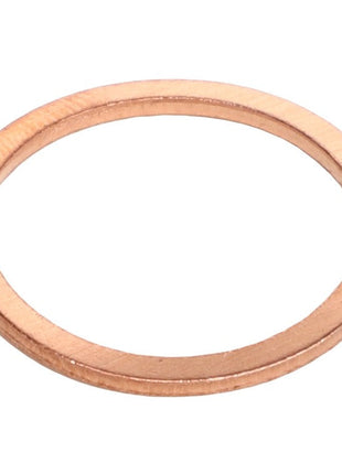 AGCO | Sealing Ring - 1118737 - Farming Parts