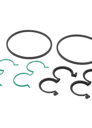 AGCO's SEAL KIT - F931941100030 meticulously arranged on a pristine white background.