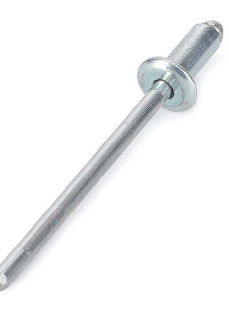 AGCO | RIVET - D41399800