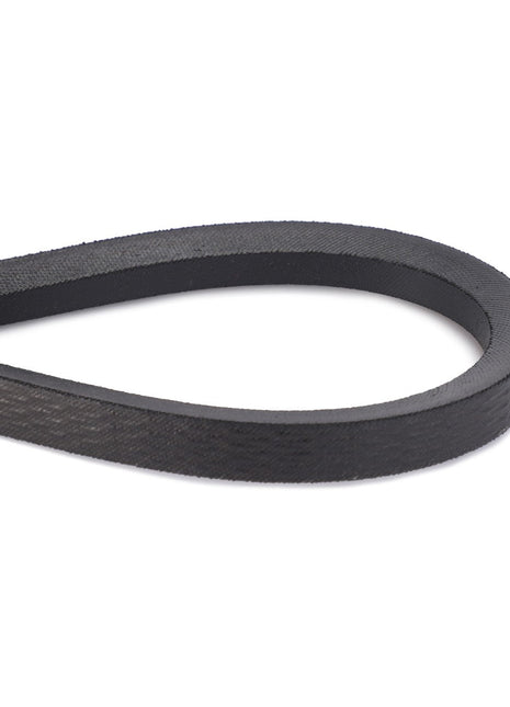 AGCO | Drive V Belt, Counter Drive, Filling And Returns System - D41929000