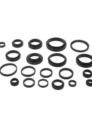 The AGCO Seal Set - Acp0276370 features an assortment of black rubber O-rings in various sizes, meticulously arranged in a grid pattern against a pristine white background.