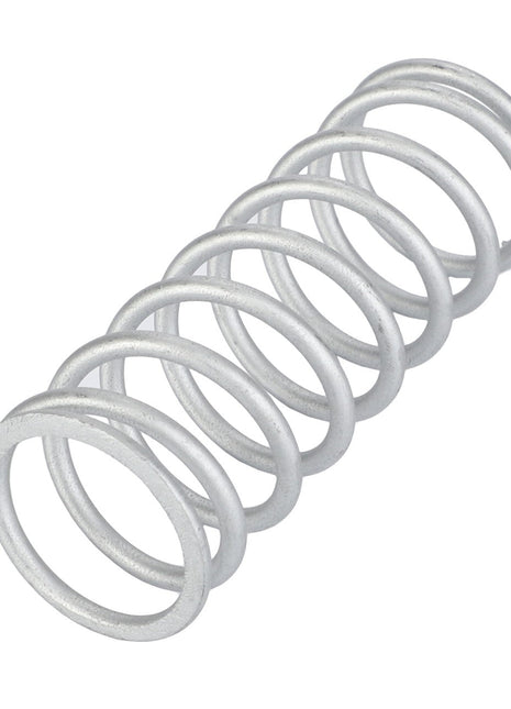 AGCO | Coil Spring - F100003371876 - Farming Parts