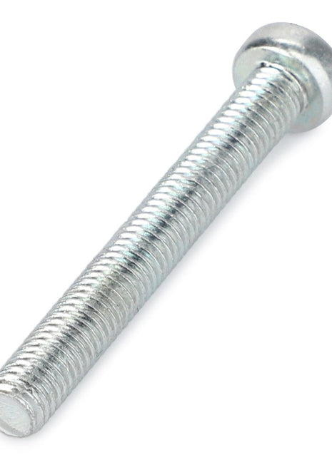 Close-up image of the AGCO SCREW - LA10390311, a silver metal screw featuring a round head and threaded body.