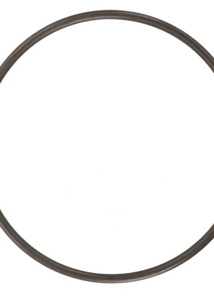 AGCO | LOCKWASHER - F931870051180