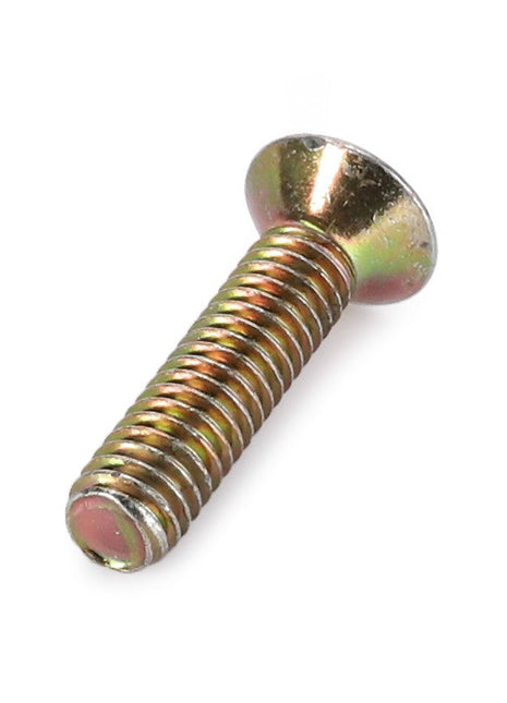 Close-up of an AGCO Screw - La13309211, showcasing its metallic flat head and threaded shaft, displayed against a plain white background.