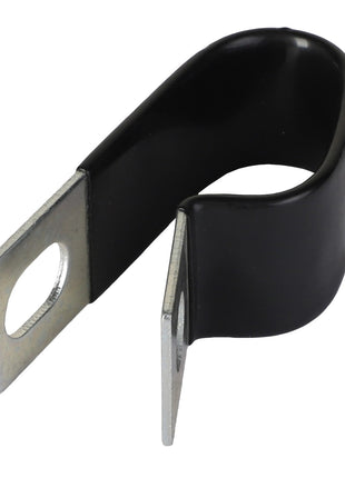 AGCO | P-CLIP - CH100-4336