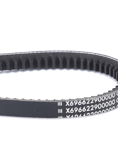 AGCO | V-Belt - X696622900000 - Farming Parts