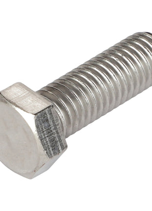 Close-up image of an AGCO Hexagonal Head Bolt (Model: AG562117) featuring a hexagonal head and threaded body, placed against a white background. No current product description information available.