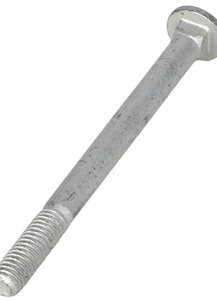 AGCO | CARRIAGE BOLT - AG523821