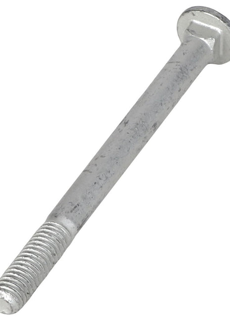 AGCO | CARRIAGE BOLT - AG523821