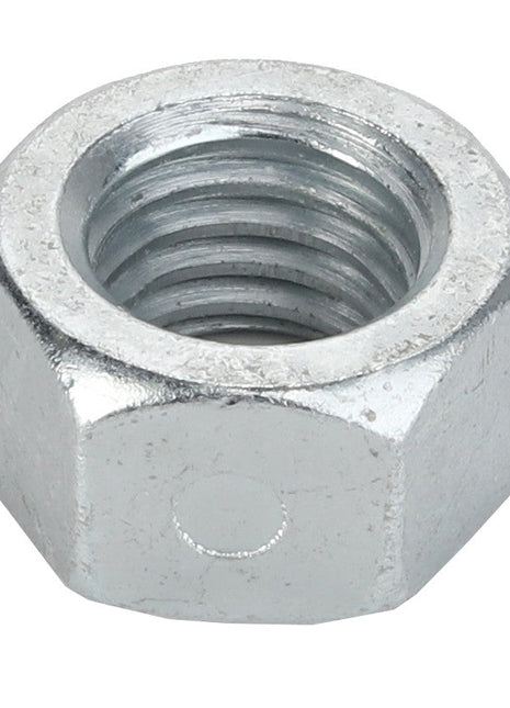 AGCO | Locknut - Acp0019150 - Farming Parts