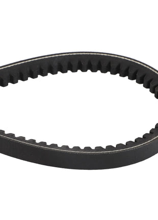 Close-up of the AGCO | BELT - D41921800, a black toothed timing belt with a teardrop-shaped loop, showcasing its finely detailed ridged inner surface.