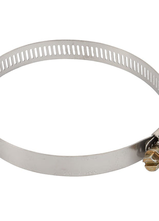 The AGCO Clamp - Acp0010410 is a sturdy metal hose clamp featuring a slotted band and a precision screw for secure tightening.