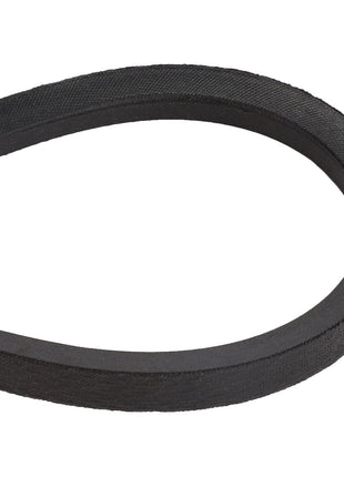 A close-up view showcases the AGCO | BELT - D41924900, a black rubber V-belt by AGCO, in a looped formation. No current product description information available.