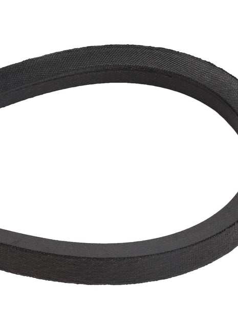 A close-up view showcases the AGCO | BELT - D41924900, a black rubber V-belt by AGCO, in a looped formation. No current product description information available.