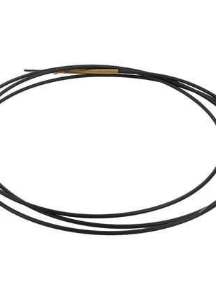 The AGCO | ACCELERATOR CABLE - D46439300 is a coiled black cable featuring metal connectors at both ends. While specific product details remain undisclosed, this adds an intriguing layer of mystery to its specifications.