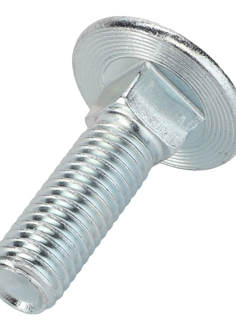 AGCO | TRUSS HEAD SCREW - 0903-11-05-00