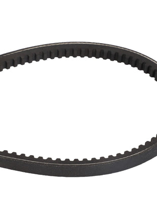 The AGCO V BELT - D41990027 is a black, toothed rubber belt in an oval shape, typically used for machinery or automotive applications.