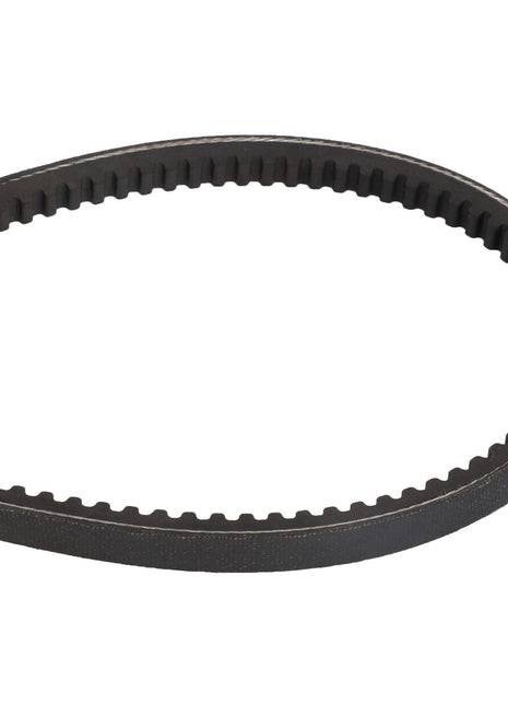 The AGCO V BELT - D41990027 is a black, toothed rubber belt in an oval shape, typically used for machinery or automotive applications.