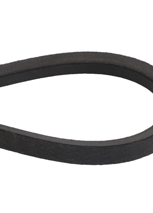 AGCO | BELT - D41905600