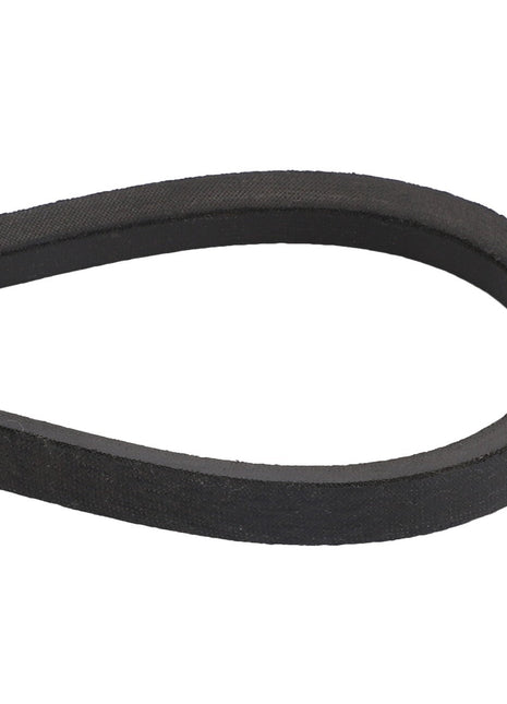 AGCO | BELT - D41905600