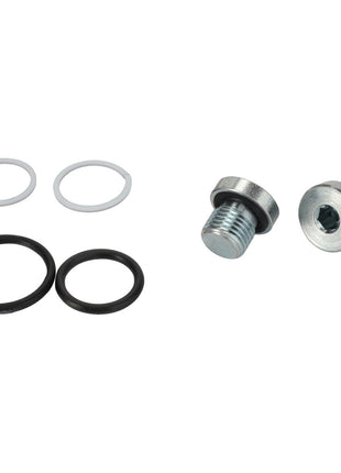 Product Description: The AGCO Seal Kit - Acp0296550 includes two metal bolts with hexagonal sockets, two black O-rings, and two white washers, all arranged on a plain background.