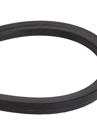 Close-up of an AGCO V BELT - D41941900, a black rubber V-belt looped in an oval shape, commonly used in machinery and automotive engines to transmit power between pulleys. No current product description information is available.