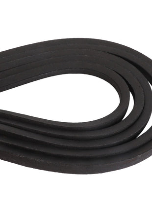 The AGCO | KIT, BELT - D41983300 by AGCO is a robust coiled black rubber V-belt, essential for efficient power transmission in automotive engines and assorted machinery.