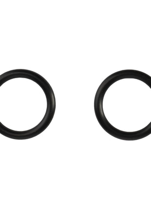 Two black rubber O-rings from the AGCO KIT, JOINT - AL10550068 placed side by side on a white background. Unfortunately, there is no current information available about their specific use or application.