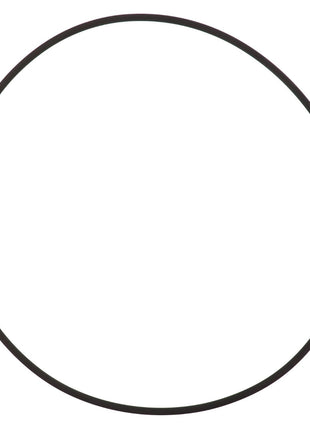 No current product description available, but imagine the AGCO | O-Ring - Acp0368960, a simple black circle on a white background.