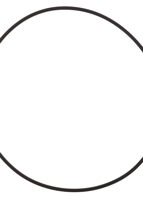 No current product description available, but imagine the AGCO | O-Ring - Acp0368960, a simple black circle on a white background.