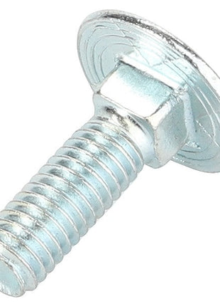 Close-up of the AGCO CARRIAGE BOLT - D46150436, featuring a shiny, silver finish with a smooth, round head and threaded shaft, positioned at a slight angle on a white background.