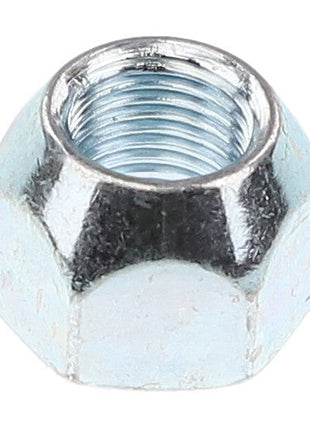 AGCO | LUG NUT - AG334324