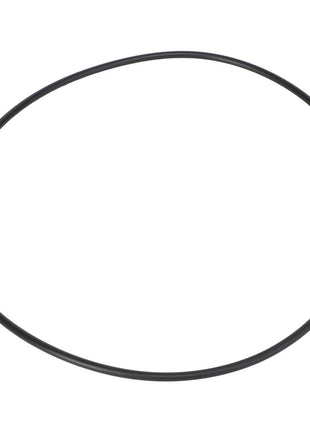 The AGCO | O-Ring - AG726348, a simple black circular rubber belt made from high-quality materials, is displayed against a plain white background.