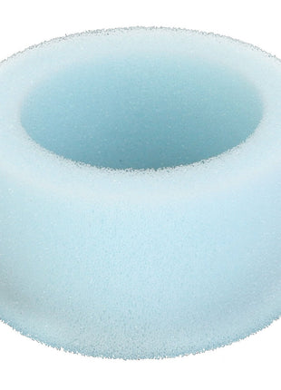 AGCO | FOAMED PLASTIC RING - F931502165100