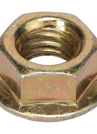The AGCO | HEX FLANGE NUT - AG520885, featuring a sleek metallic finish, precise internal threads, and a sturdy, flat circular base.