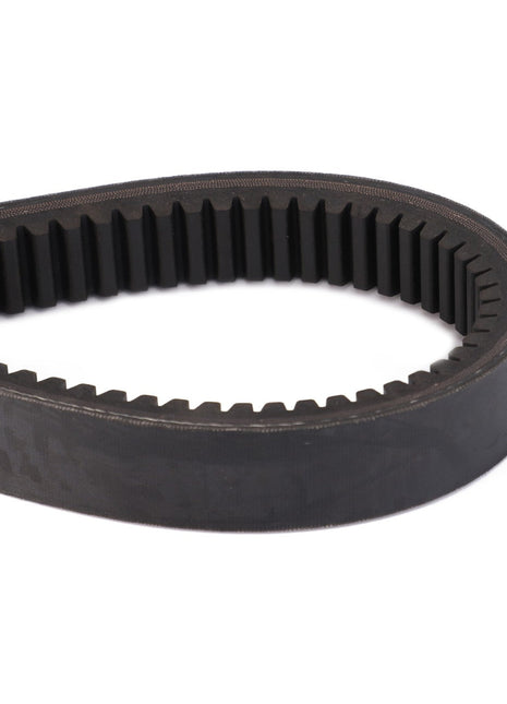 Close-up of an AGCO | BELT - D41981200 black rubber timing belt with teeth on the inner surface, partially coiled against a white background.