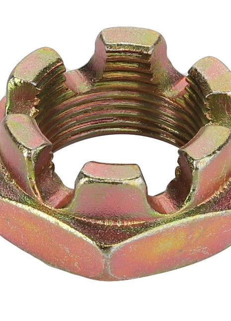 Close-up of the AGCO | CASTLE NUT - D41049000, a metallic nut with six slots around its circumference, utilized for securing bolts and preventing loosening. This product is manufactured by AGCO. No current product description information is available.