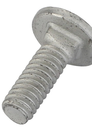 The AGCO | Carriage Bolt - 70931317 is a sturdy silver metal bolt featuring a flat, wide head and a precision-threaded shaft.