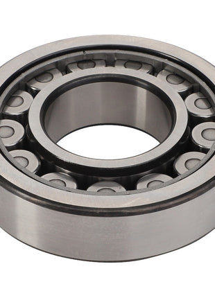 No Current Product Description Available: The AGCO | Cylindrical Radial Roller Bearing - 3003369X1, a high-quality bearing from AGCO, features a metal outer and inner ring, with several cylindrical rollers arranged in two rows.