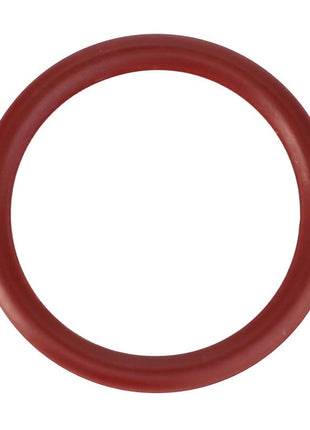 AGCO | O-Ring - CH3K-0360