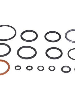 AGCO | SEAL KIT - F716961030010