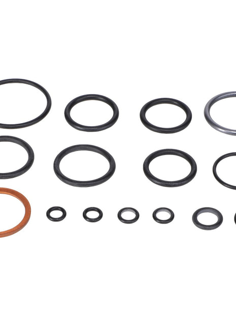 AGCO | SEAL KIT - F716961030010