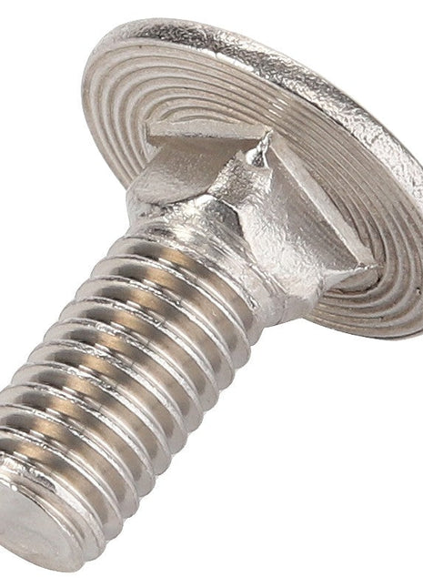 Detailed view of the AGCO round head square neck carriage bolt, model D46150449, showcasing its threaded shaft, metallic finish, and distinctive ridged, rounded head. Note: Currently lacking further product description information.