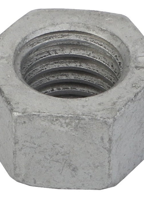 Close-up of an AGCO Hex Nut - Acw0863180, featuring a hexagonal shape with an open threaded hole in the center, designed to be used with a bolt for securing materials. No current product description information available.