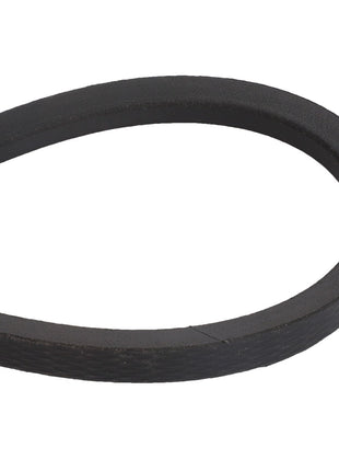 AGCO | BELT - D41931100