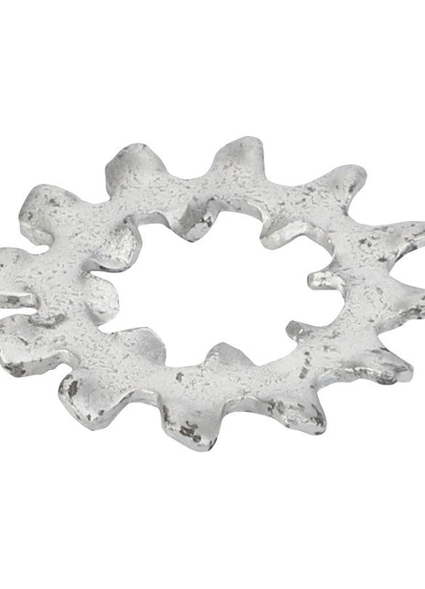 An irregularly shaped, silver-colored toothlock washer with jagged, gear-like edges and a rough surface texture, measuring 1 inch in diameter, identified as AGCO | Toothlock washer - AG562438 from the brand AGCO.