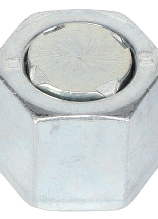 A close-up image of the AGCO | CAP - CH6V-9829 hex nut reveals its metallic finish and distinct six-sided shape, showcasing the quality associated with the AGCO brand.